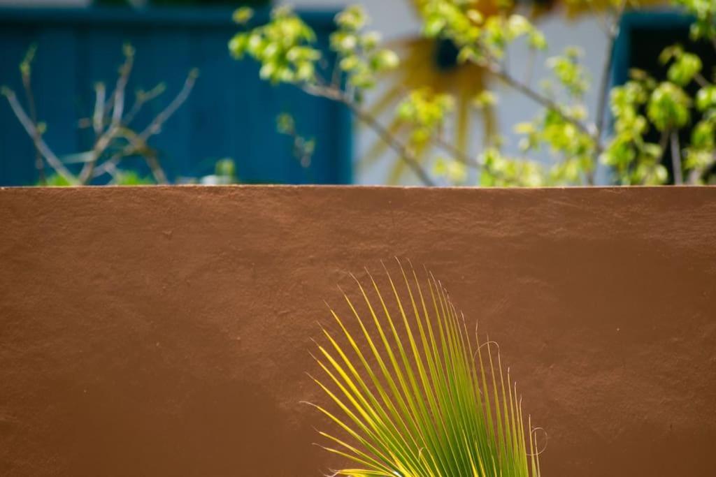Disfruta En La Casa De Lola / Enjoy At Lolas House Progreso  Bagian luar foto