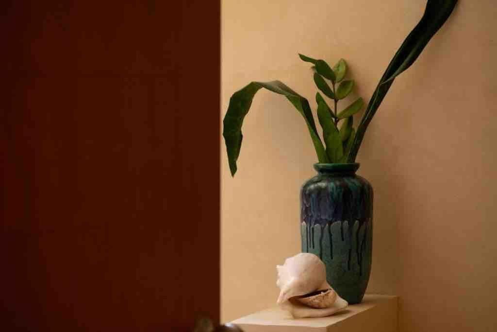 Disfruta En La Casa De Lola / Enjoy At Lolas House Progreso  Bagian luar foto